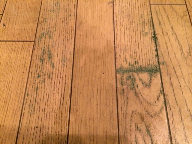 湿気によるカビ